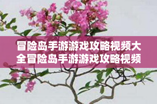 冒险岛手游游戏攻略视频大全冒险岛手游游戏攻略视频图片