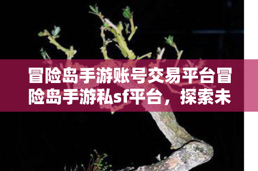 冒险岛手游账号交易平台冒险岛手游私sf平台图片