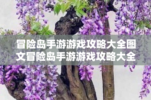 冒险岛手游游戏攻略大全图文冒险岛手游游戏攻略大全图片