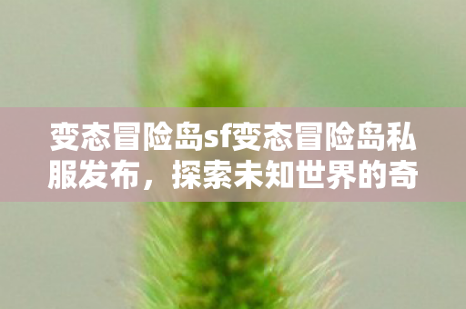 变态冒险岛sf变态冒险岛私服发布图片