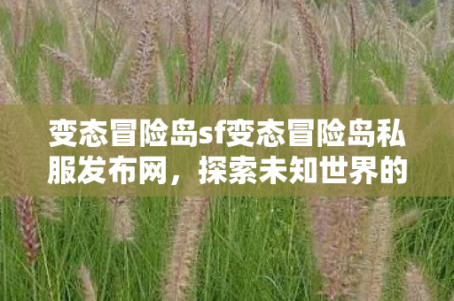 变态冒险岛sf变态冒险岛私服发布网图片