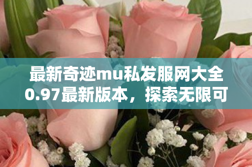 最新奇迹mu私发服网大全0.97最新版本，探索无限可能的经典延续，奇迹mu私发服网大全0.97，经典延续，探索无限可能