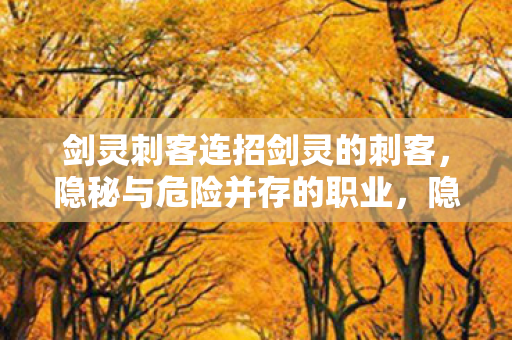 剑灵刺客连招剑灵的刺客图片