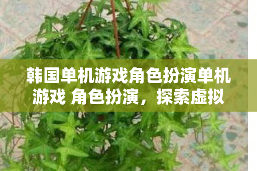韩国单机游戏角色扮演单机游戏 角色扮演图片