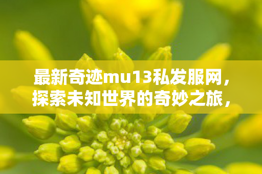 最新奇迹mu13私发服网图片