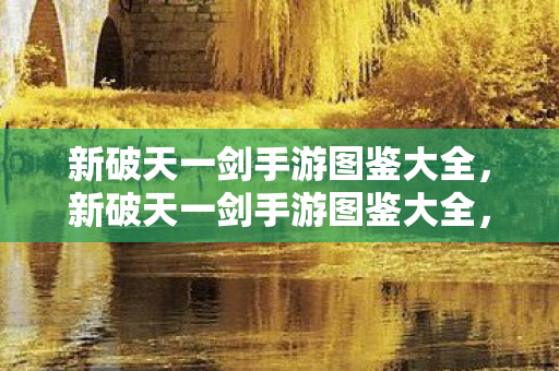 新破天一剑手游图鉴大全,新破天一剑手游图鉴大全,解锁你的冒险之旅 新破天一剑手游图鉴大全,新破天一剑手游图鉴大全,解锁你的冒险之旅