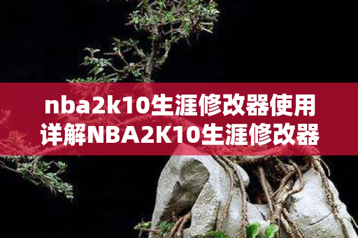 nba2k10生涯修改器使用详解NBA2K10生涯修改器图片