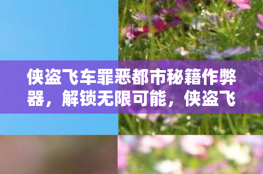 侠盗飞车罪恶都市秘籍作弊器图片