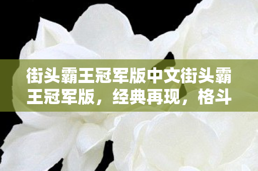 街头霸王冠军版中文街头霸王冠军版图片