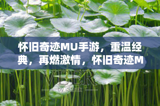 怀旧奇迹MU手游图片