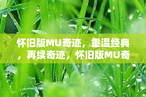 怀旧版MU奇迹图片