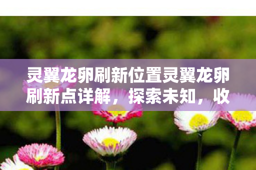 灵翼龙卵刷新位置灵翼龙卵刷新点详解图片
