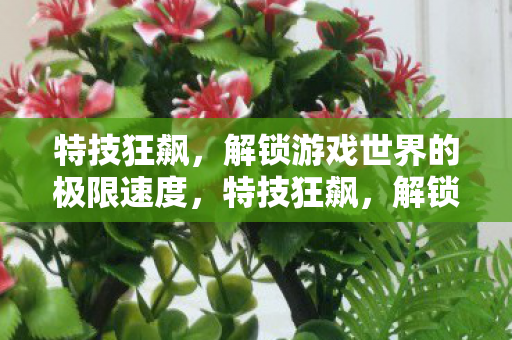 解锁游戏世界的极限速度图片