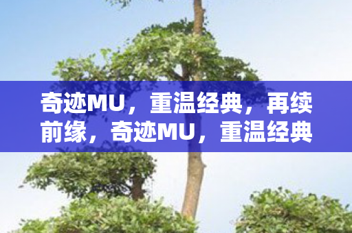 奇迹MU图片