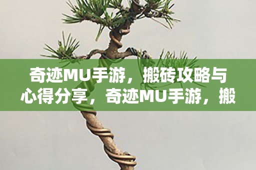 搬砖攻略与心得分享图片