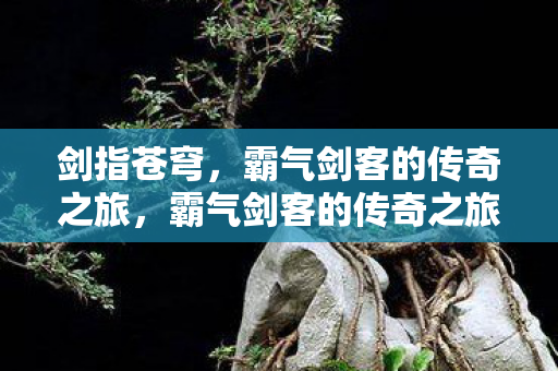 剑指苍穹,霸气剑客的传奇之旅,霸气剑客的传奇之旅,剑指苍穹 剑指苍穹,霸气剑客的传奇之旅,霸气剑客的传奇之旅,剑指苍穹