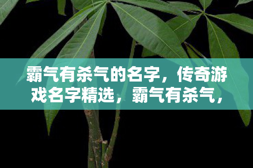 霸气有杀气的名字，传奇游戏名字精选，霸气有杀气，传奇游戏名字精选
