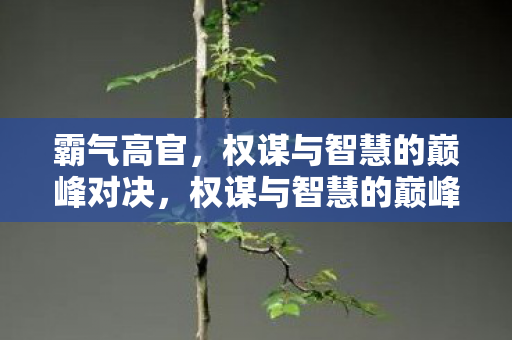 霸气高官,权谋与智慧的巅峰对决,权谋与智慧的巅峰对决,霸气高官 霸气高官,权谋与智慧的巅峰对决,权谋与智慧的巅峰对决,霸气高官