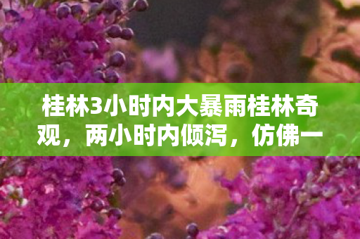 桂林3小时内大暴雨桂林奇观图片