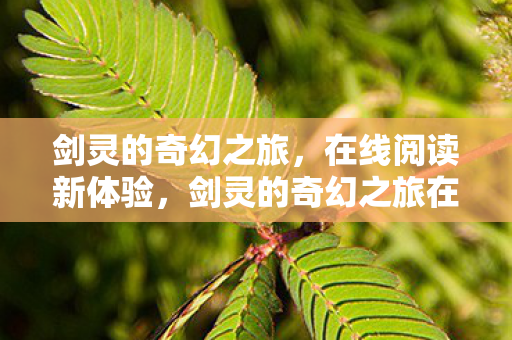 剑灵的奇幻之旅在线阅读图片