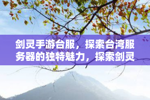 探索台湾服务器的独特魅力图片