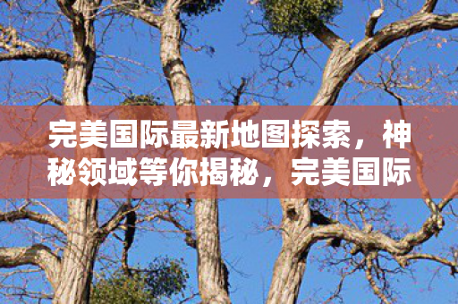 完美国际最新地图探索图片