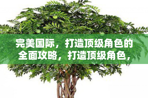打造顶级角色的全面攻略图片