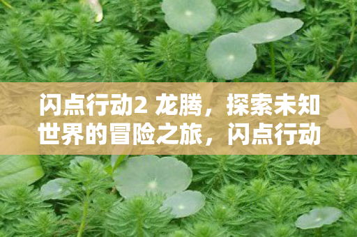 龙腾探索未知世界的冒险之旅图片