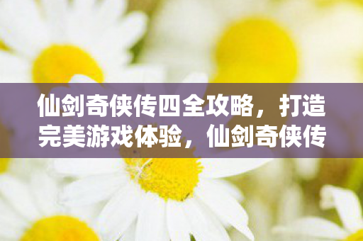 仙剑奇侠传四全攻略图片