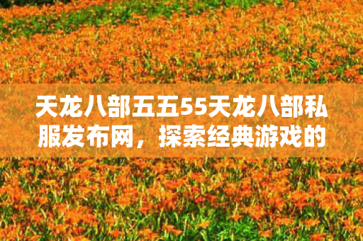 天龙八部五五55天龙八部私服发布网图片