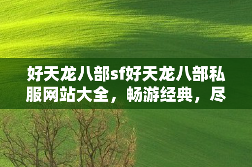 好天龙八部sf好天龙八部私服网站大全图片