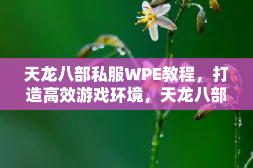 天龙八部私服WPE教程图片