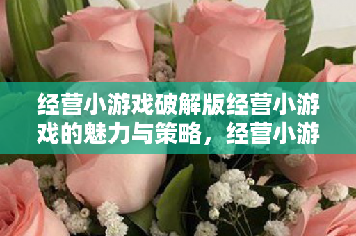 经营小游戏破解版经营小游戏的魅力与策略图片