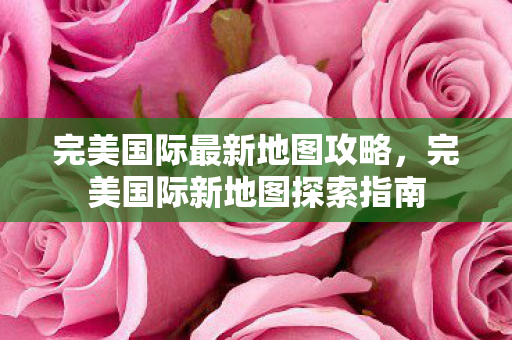 完美国际新地图探索指南图片