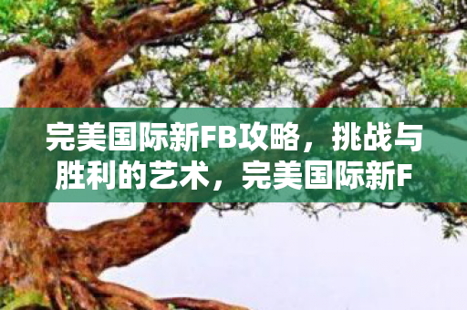 完美国际新FB攻略图片