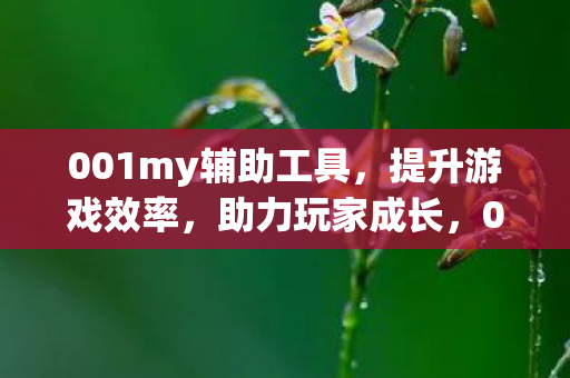 001my辅助工具图片