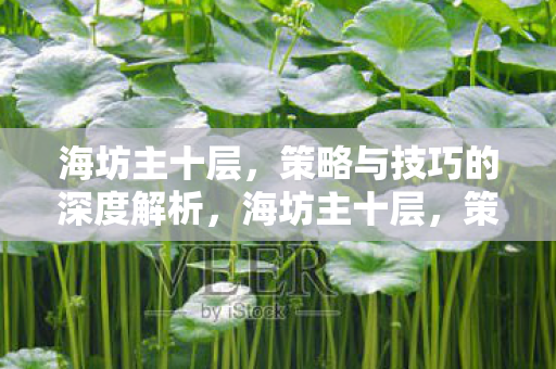 策略与技巧的深度解析图片