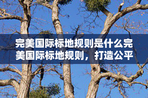 完美国际标地规则是什么完美国际标地规则图片