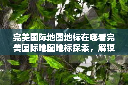 完美国际地图地标在哪看完美国际地图地标探索图片