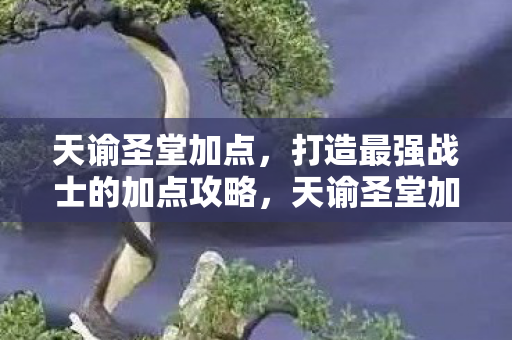 打造最强战士的加点攻略图片