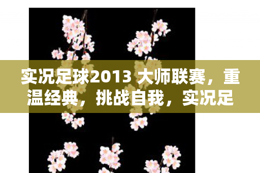 实况足球2013 大师联赛图片
