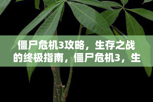 生存之战的终极指南图片