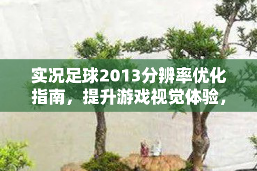 实况足球2013分辨率优化指南图片
