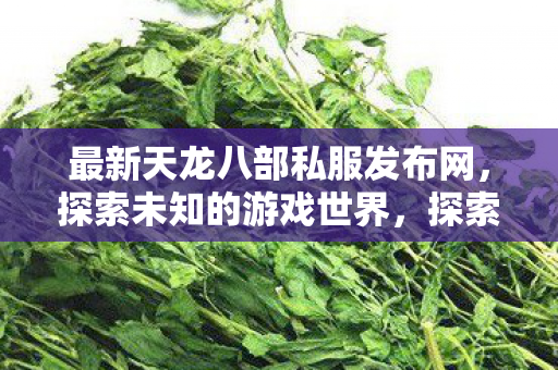 最新天龙八部私服发布网图片