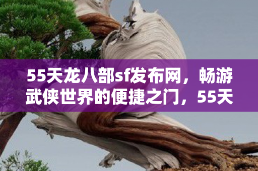 55天龙八部sf发布网图片