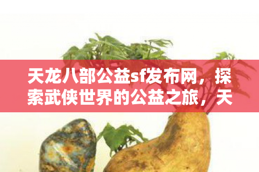 天龙八部公益sf发布网图片