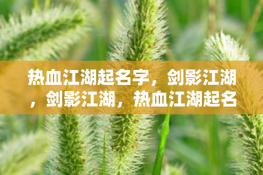 热血江湖起名字图片