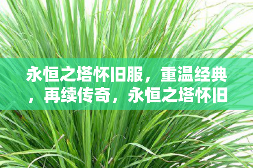 永恒之塔怀旧服图片
