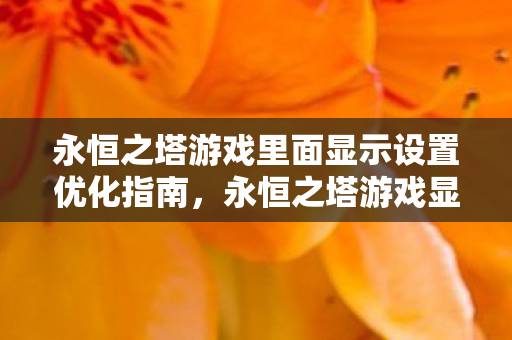 永恒之塔游戏里面显示设置优化指南图片