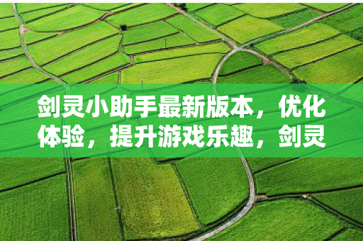 剑灵小助手最新版本图片